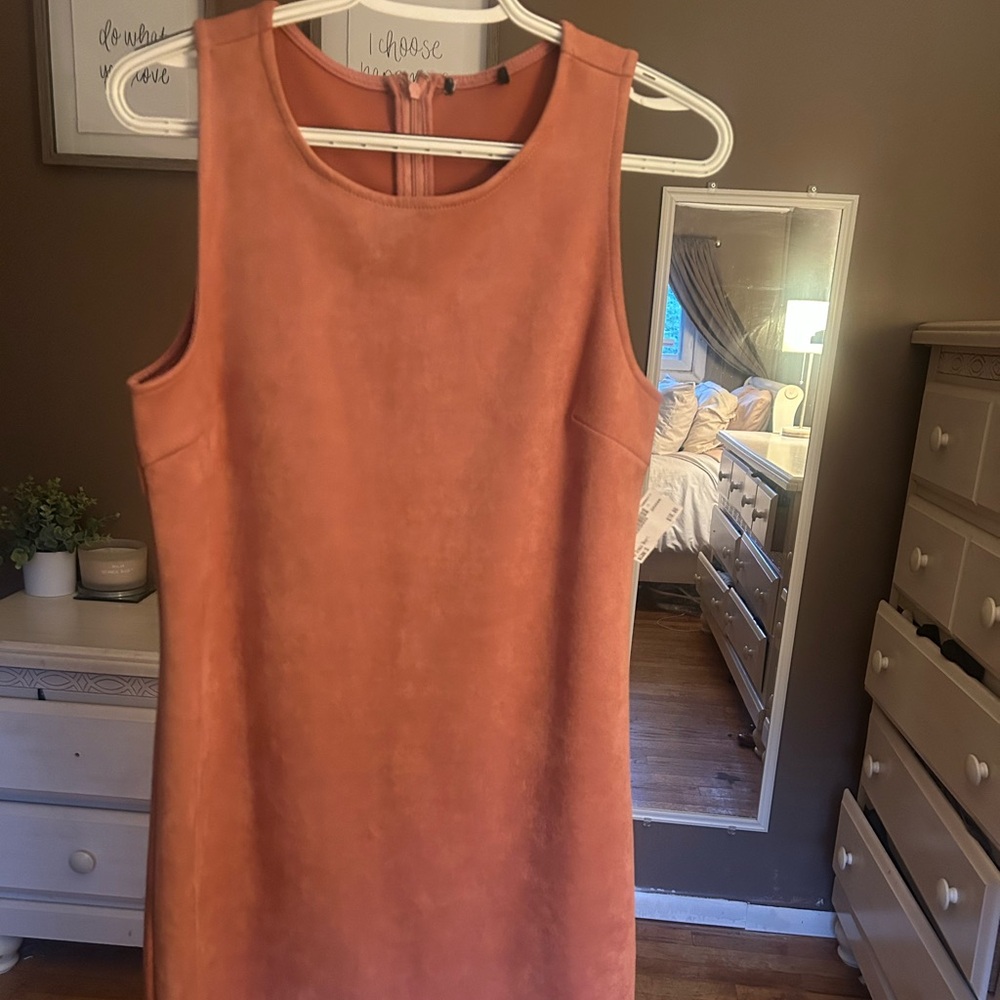 Forever21 Pink Suede Dress